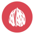 cascara