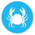 crustaceos